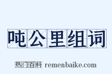 吨公里组词是什么意思的图片